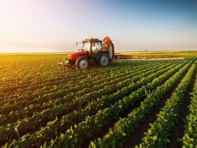 Tarım - Hayvancılık